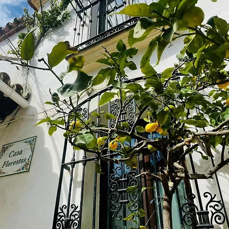 Casa Florestos - Studio Picasso Estepona Old Town Apartman *